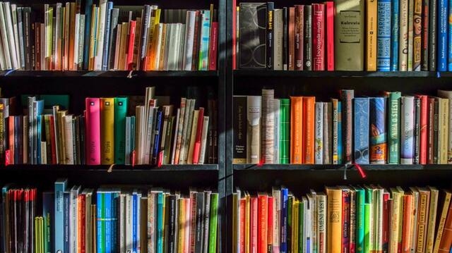 bücherregal